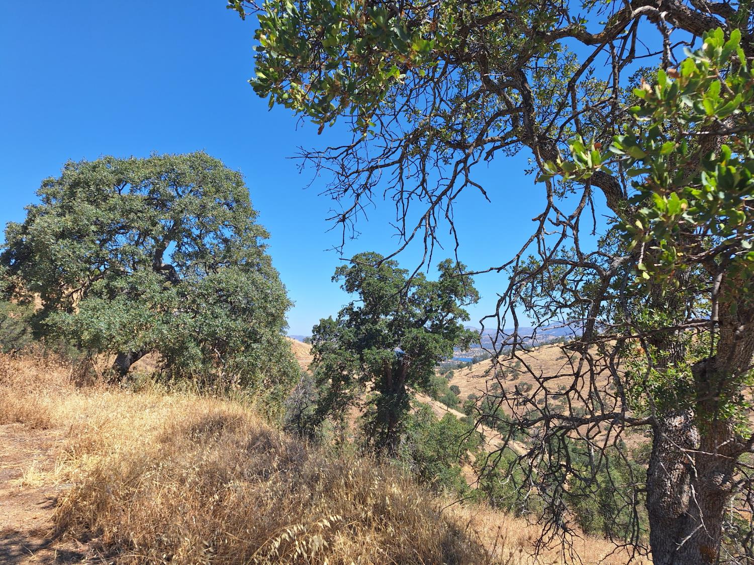 10100 Alamo Dr, La Grange, CA 95329