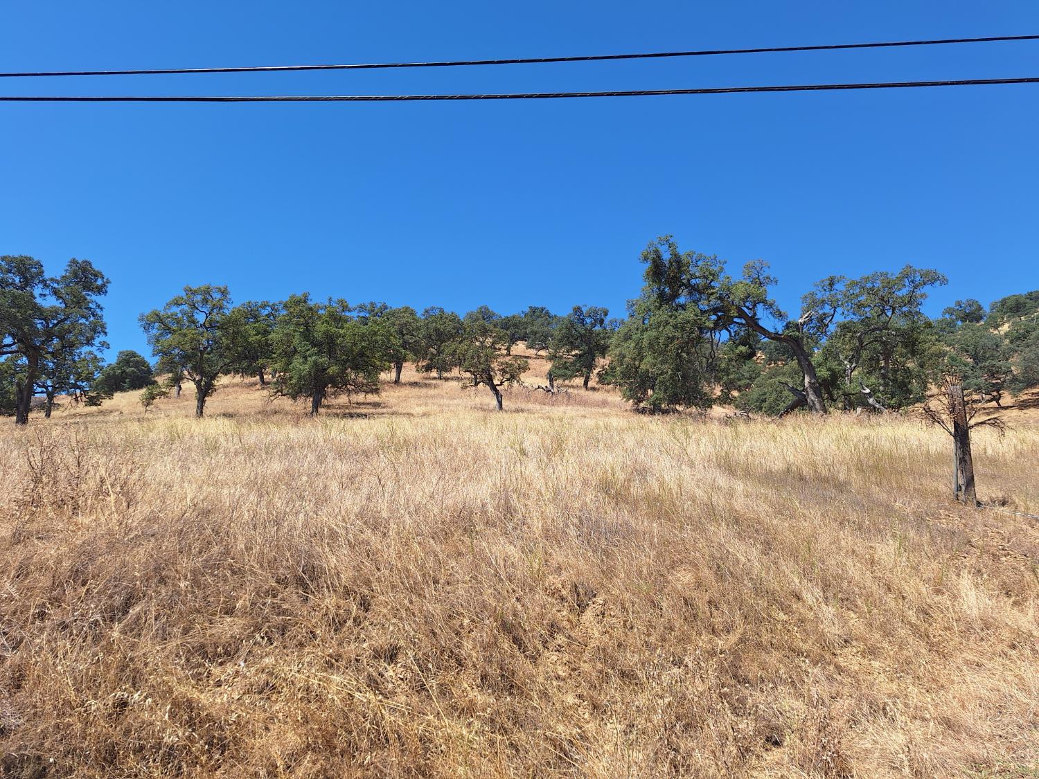 10100 Alamo Dr, La Grange, CA 95329