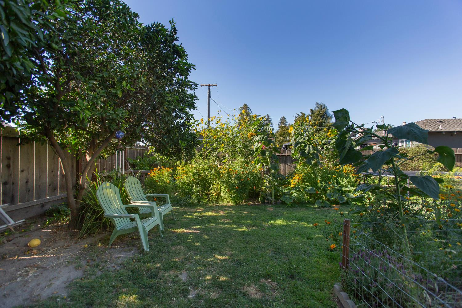164 Elena Ct, Turlock, CA 95380
