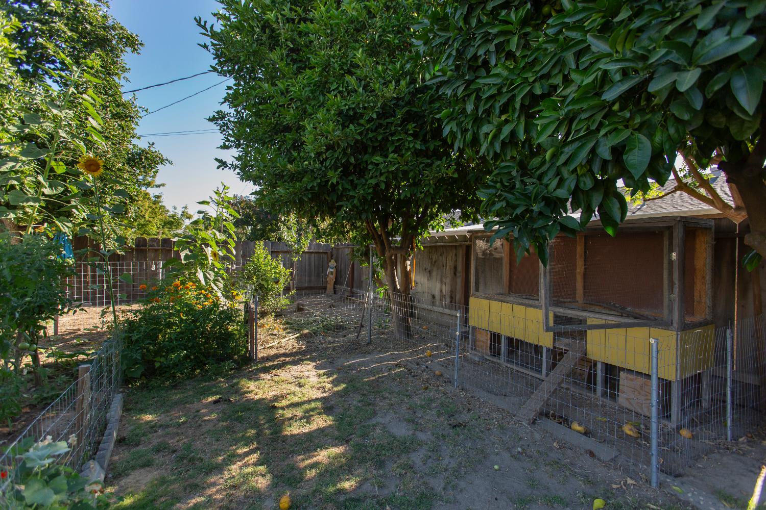 164 Elena Ct, Turlock, CA 95380