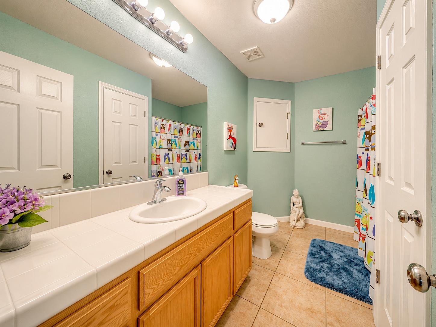 751 Savignon Blanc Ct, Los Banos, CA 93635