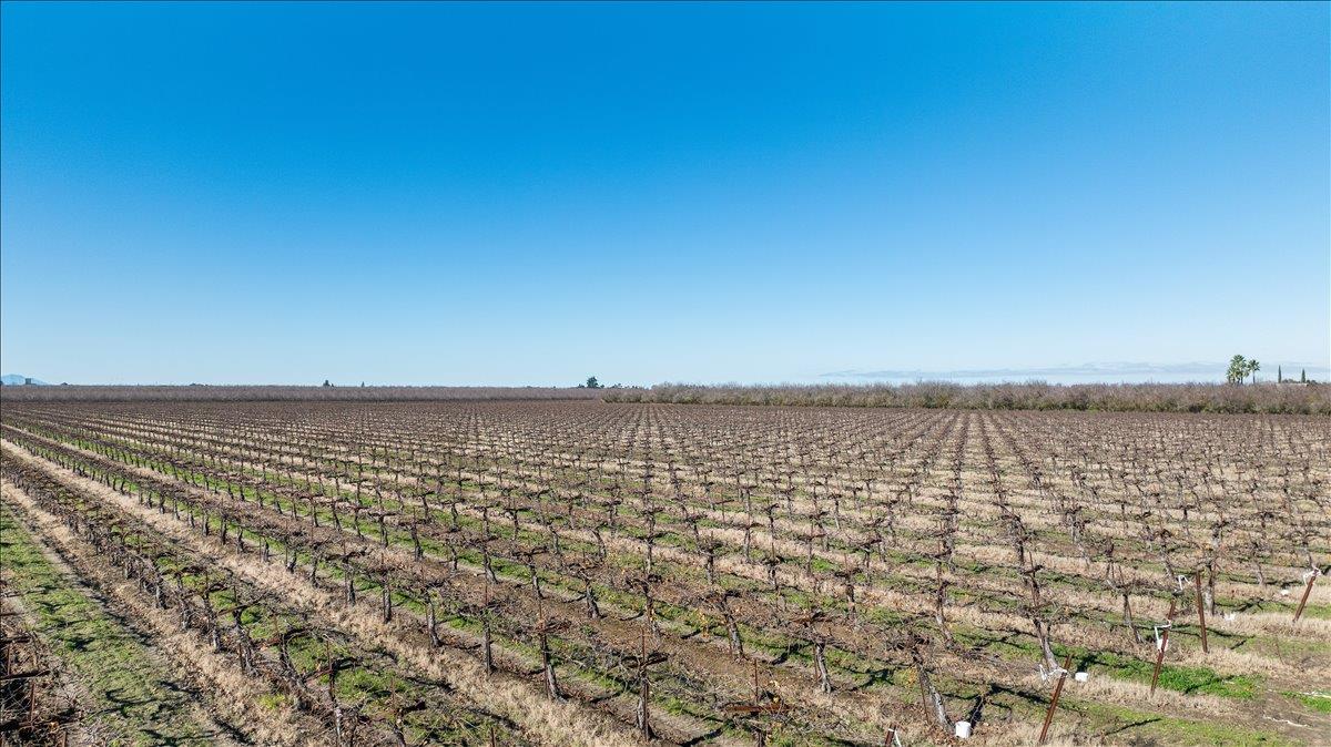 2521 Coelho Rd, Manteca, CA 95336