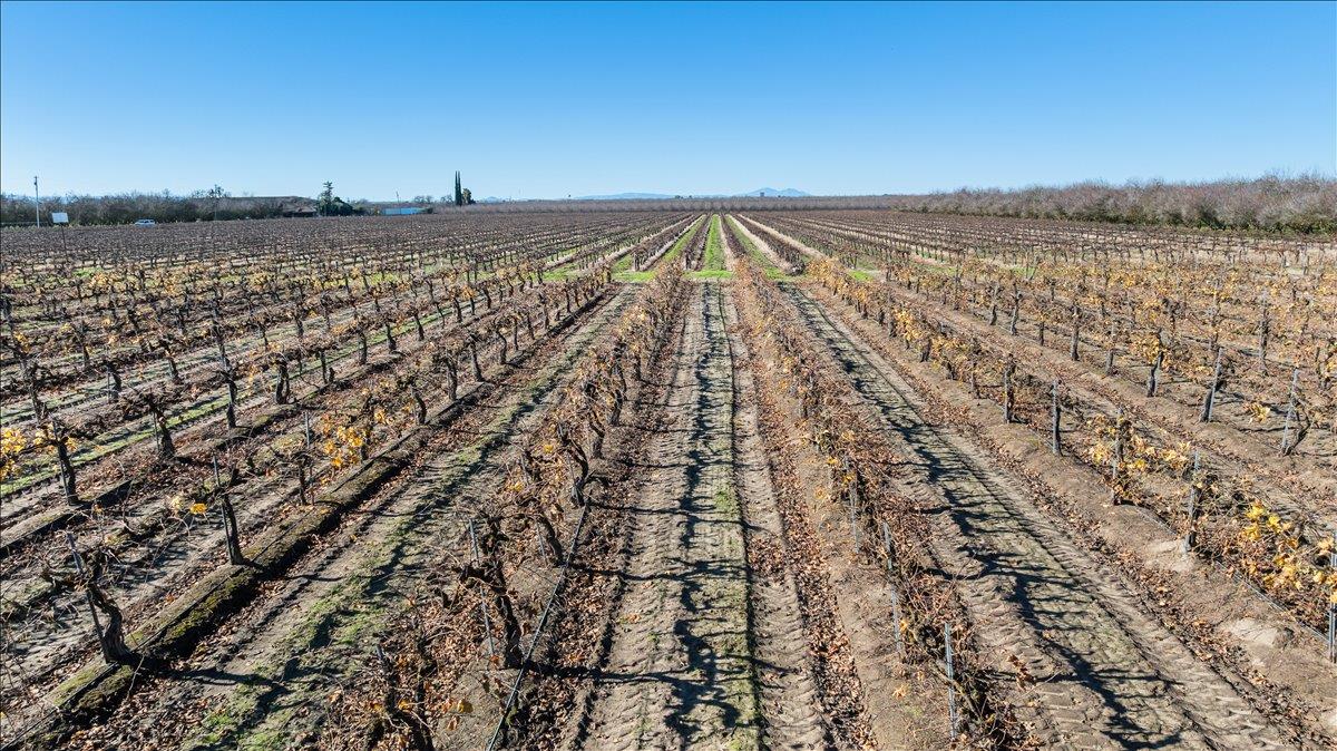 2521 Coelho Rd, Manteca, CA 95336