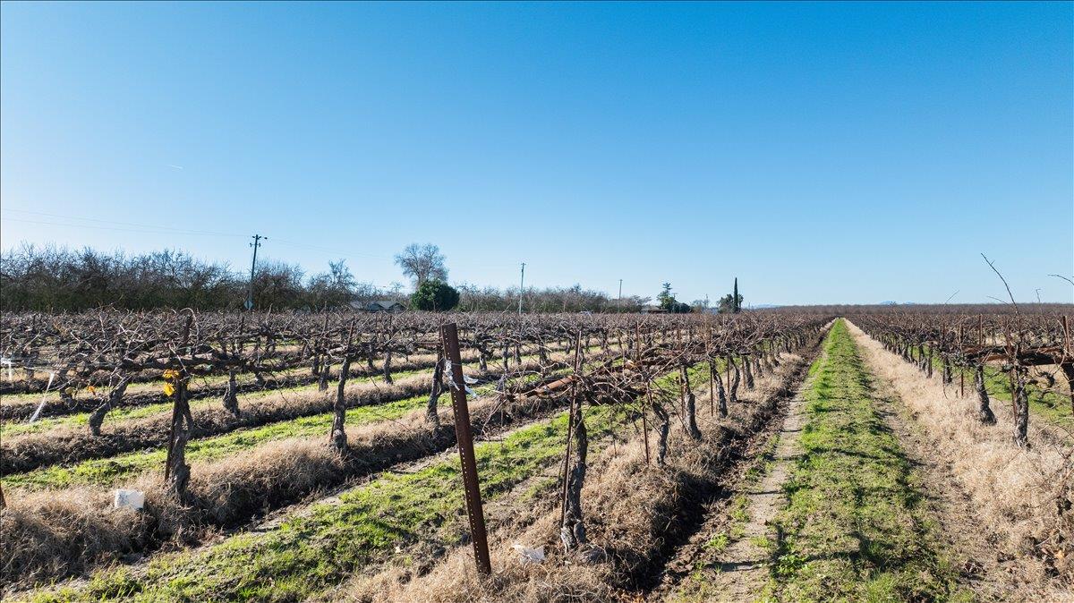 2521 Coelho Rd, Manteca, CA 95336