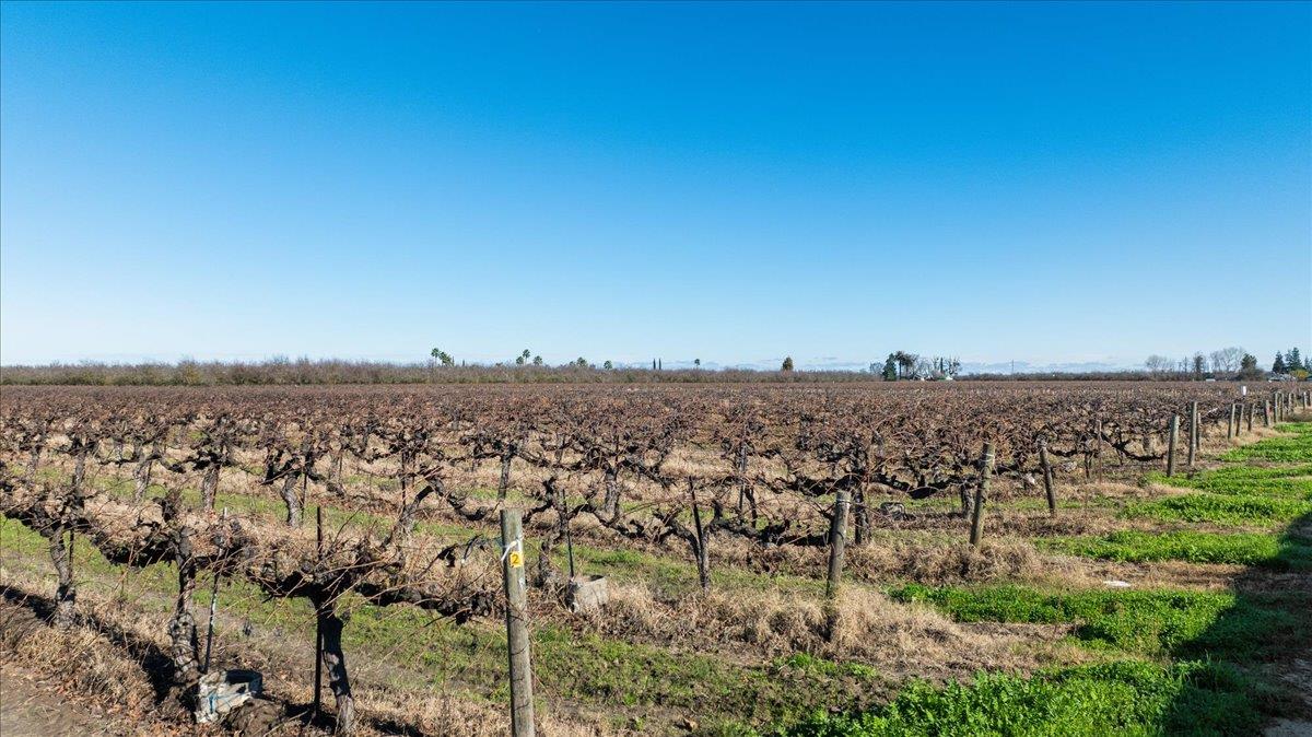 2361 Coelho Rd, Manteca, CA 95336