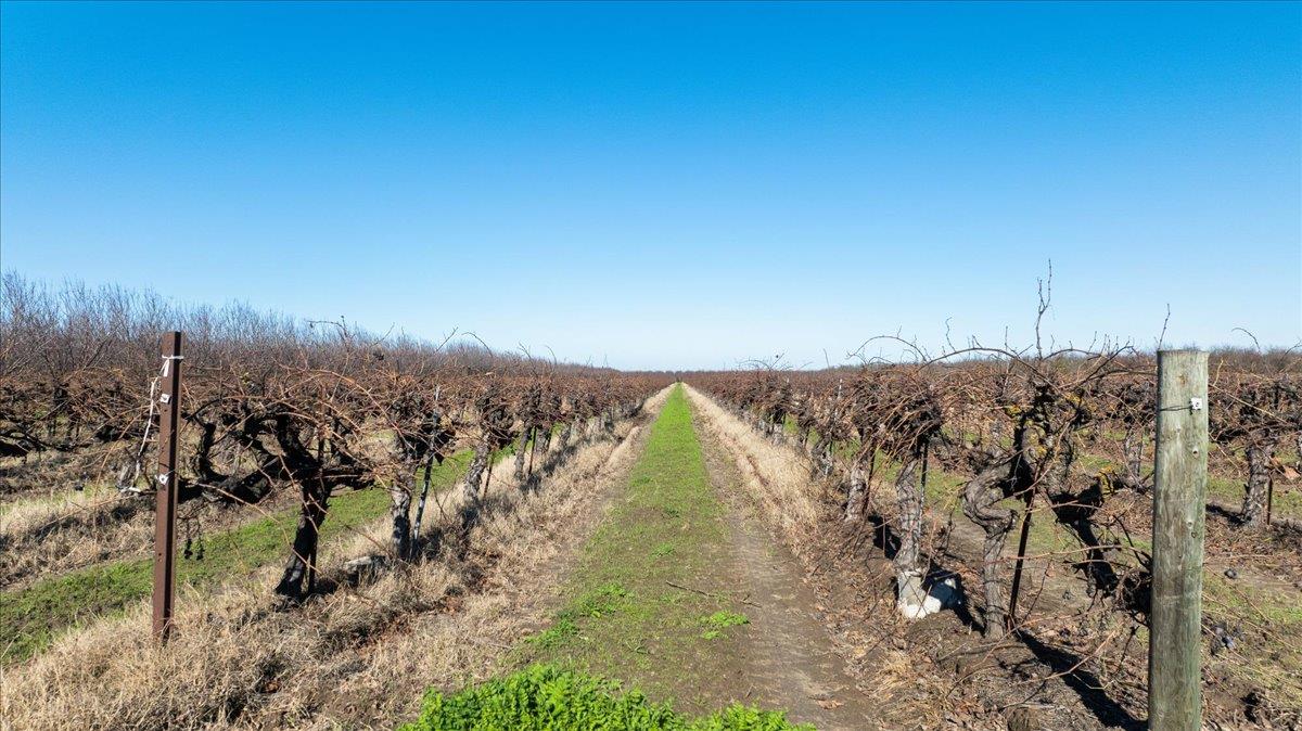 2361 Coelho Rd, Manteca, CA 95336
