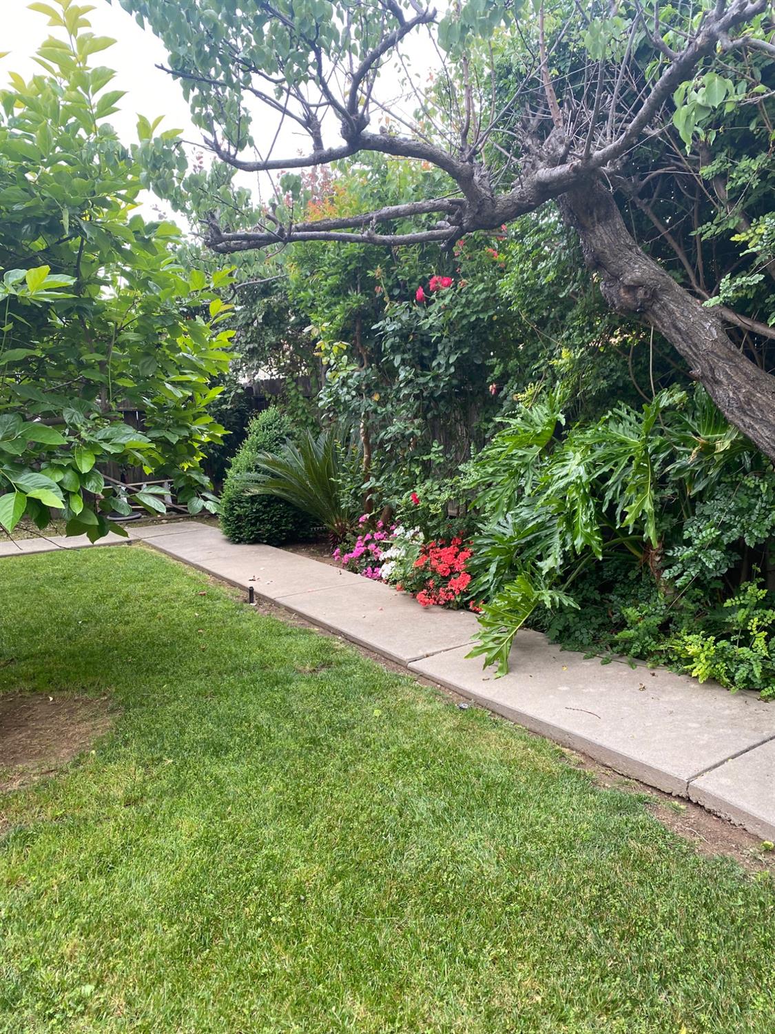 5819 Thoroughbred Dr, Riverbank, CA 95367