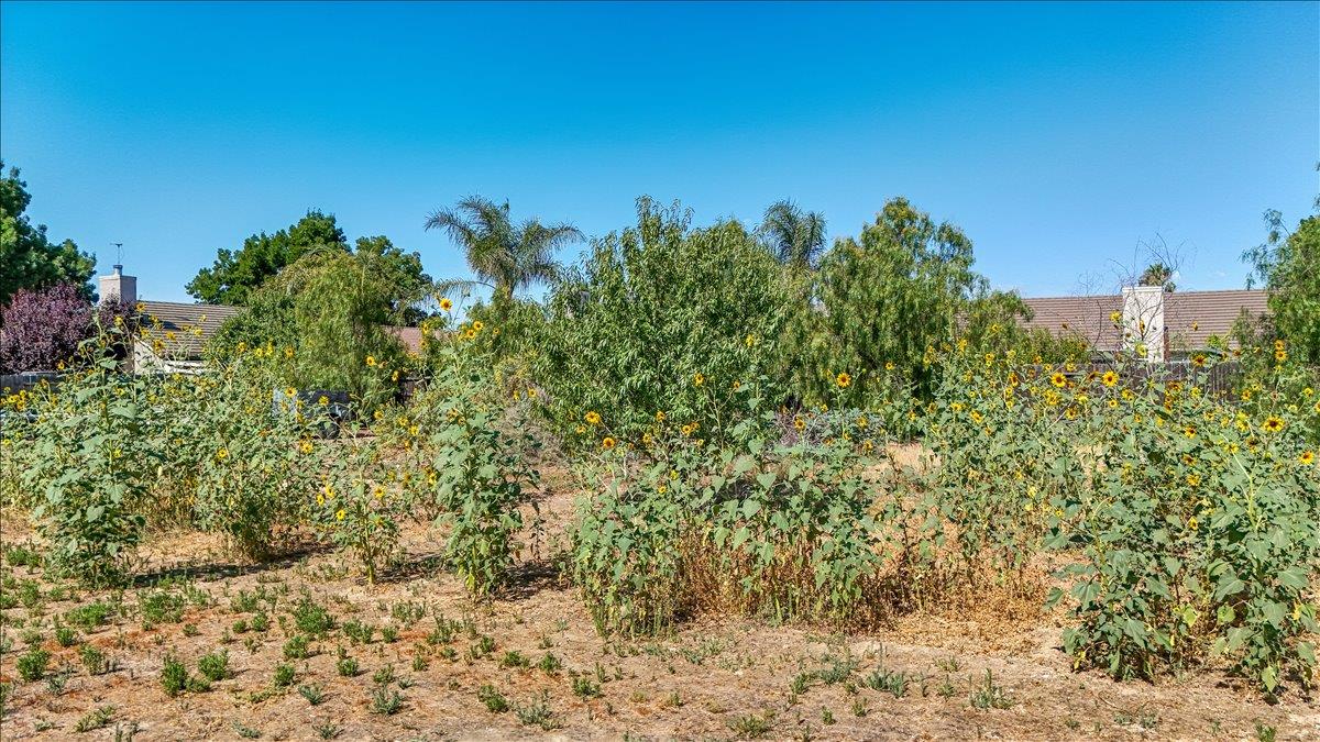 28937 Upper Rd, Newman, CA 95360