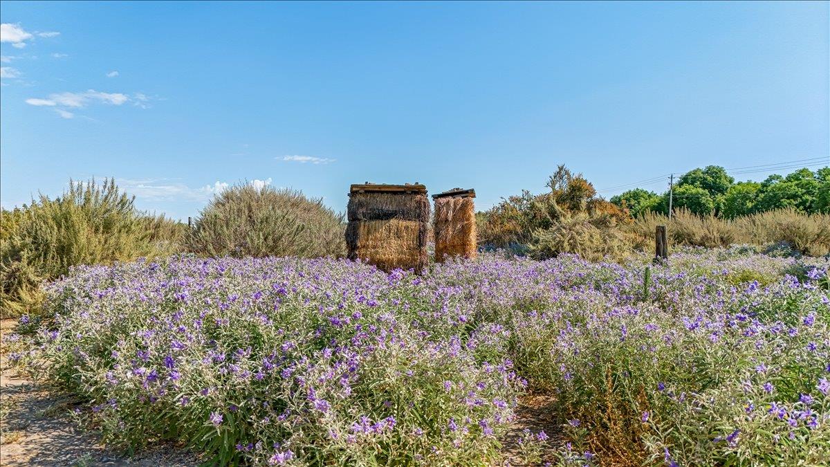 28937 Upper Rd, Newman, CA 95360