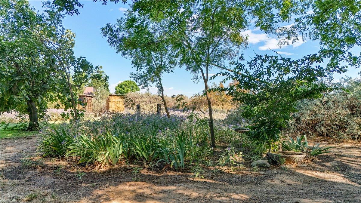 28937 Upper Rd, Newman, CA 95360
