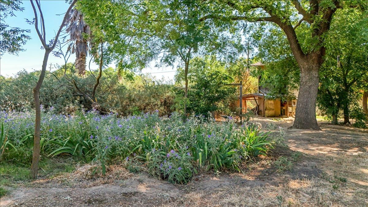 28937 Upper Rd, Newman, CA 95360