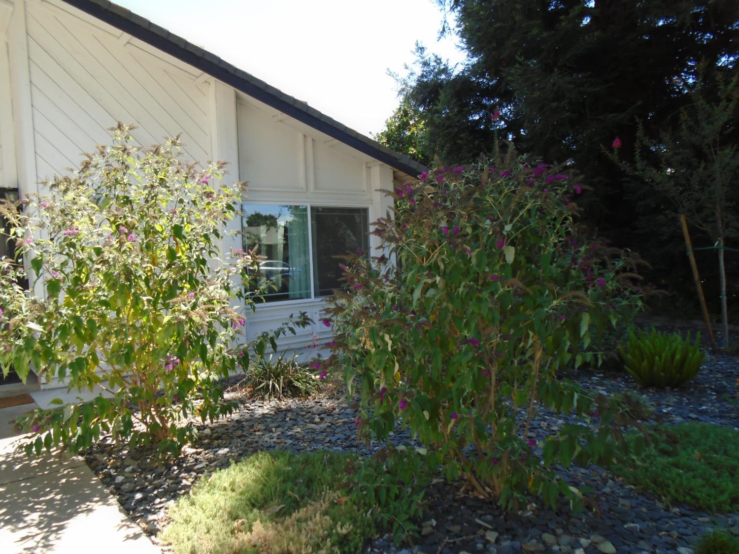 3316 Mesquite Way, Modesto, CA 95355