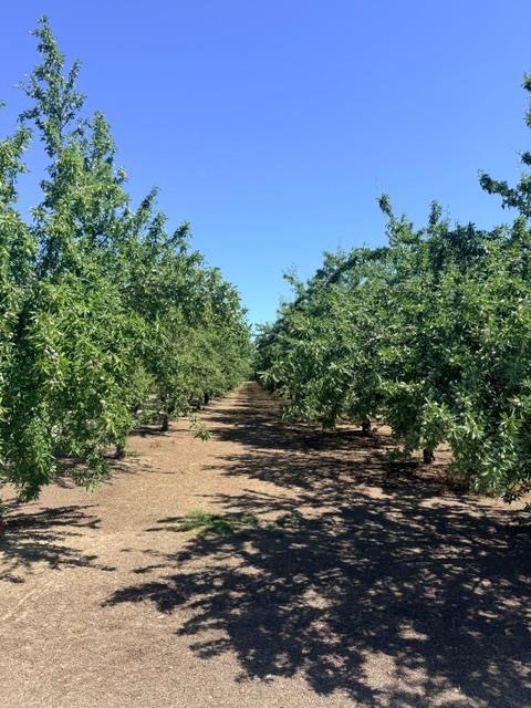 0 Service Rd, Ceres, CA 95307