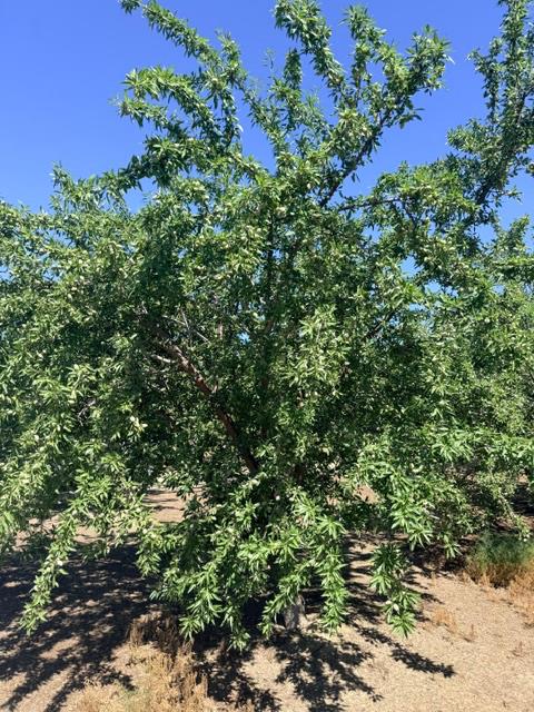 0 Service Rd, Ceres, CA 95307