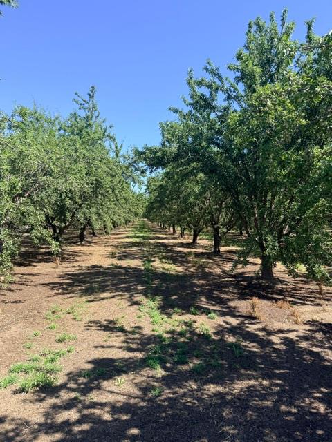 0 Service Rd, Ceres, CA 95307