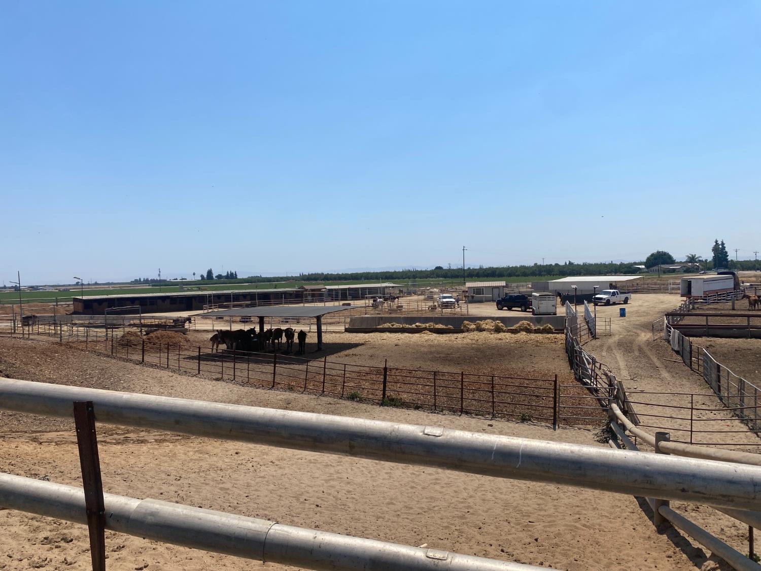 3555 Steinberg Rd, Atwater, CA 95301
