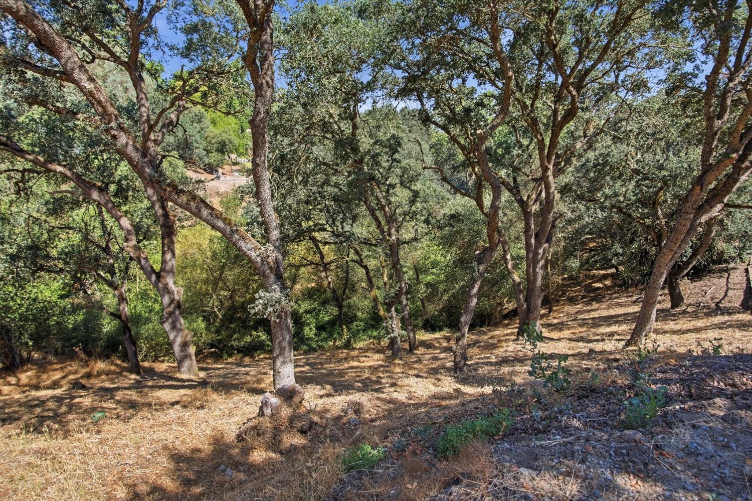 11307 Scarlet Oak, Oakdale, CA 95361