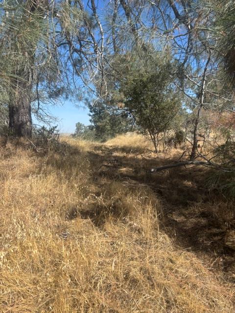 2609 Granite Ln, Catheys Valley, CA 95306
