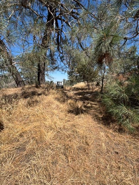 2609 Granite Ln, Catheys Valley, CA 95306