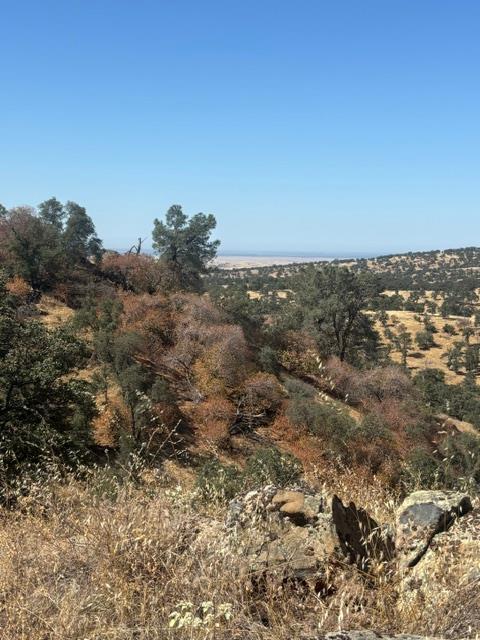 2609 Granite Ln, Catheys Valley, CA 95306