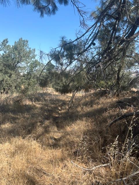 2609 Granite Ln, Catheys Valley, CA 95306