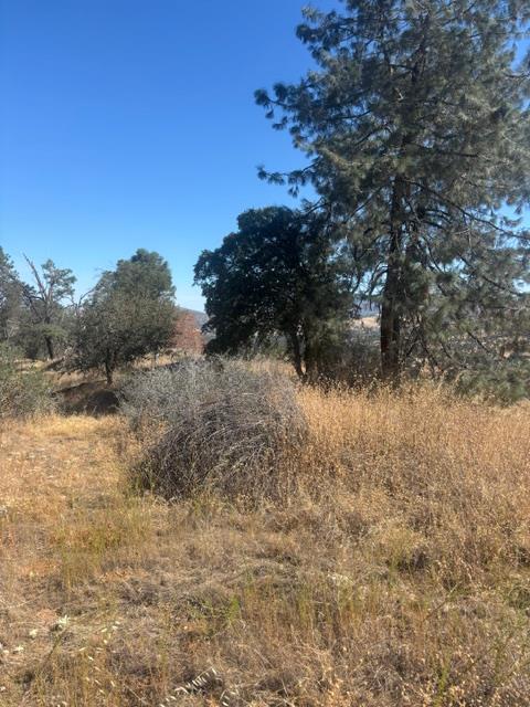 2609 Granite Ln, Catheys Valley, CA 95306