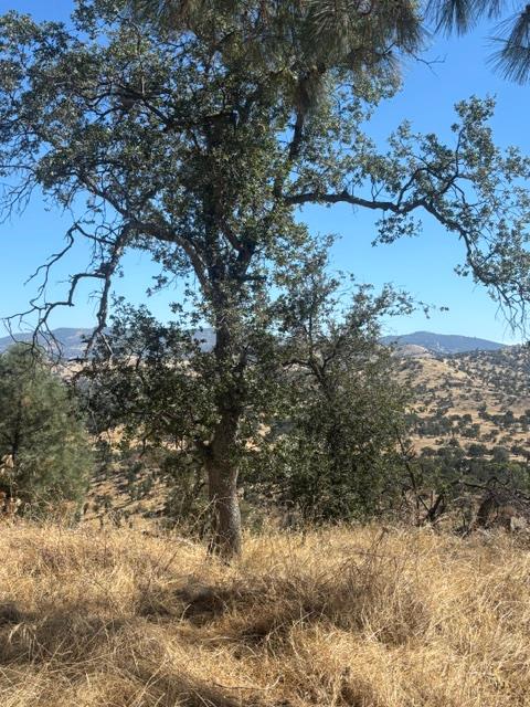 2609 Granite Ln, Catheys Valley, CA 95306