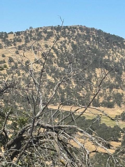 2609 Granite Ln, Catheys Valley, CA 95306