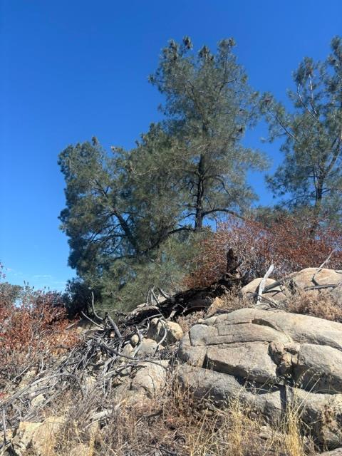 2609 Granite Ln, Catheys Valley, CA 95306