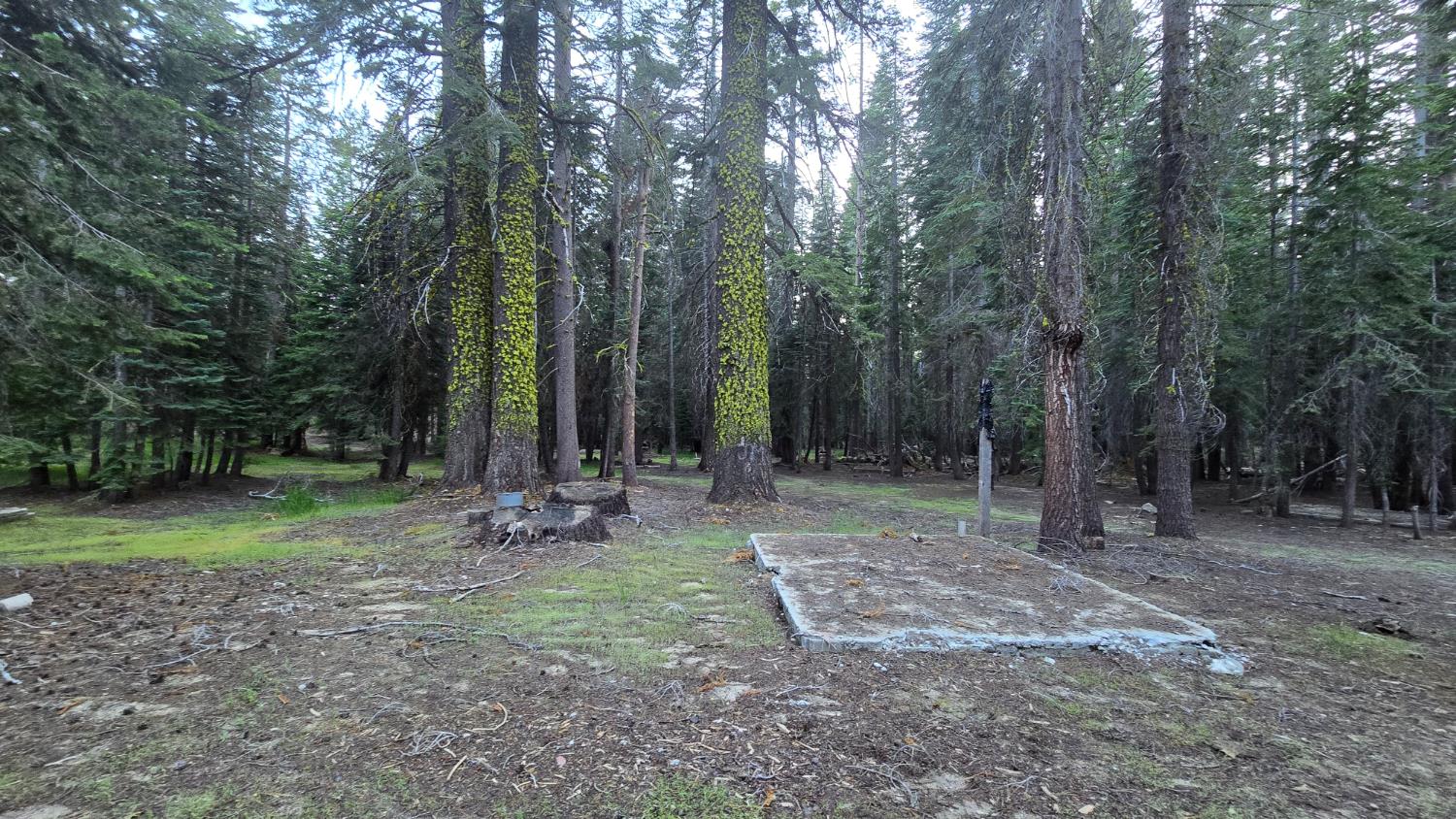 61011 Cedar Crest Ln, Lakeshore, CA 93634