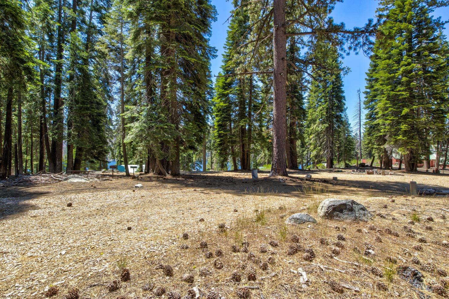 61011 Cedar Crest Ln, Lakeshore, CA 93634
