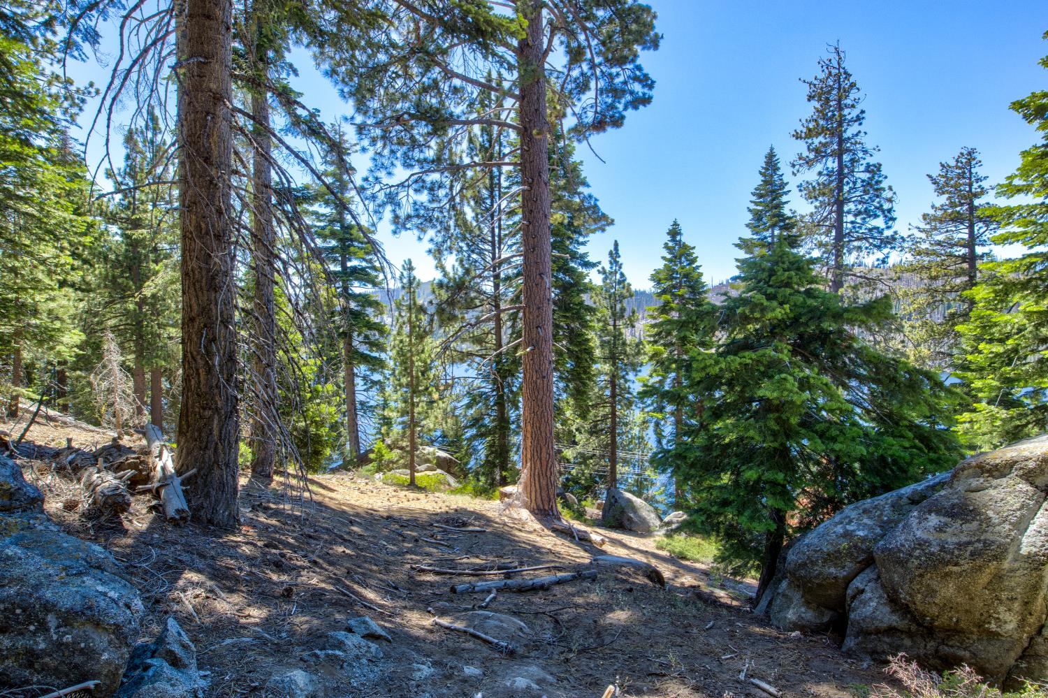 61011 Cedar Crest Ln, Lakeshore, CA 93634