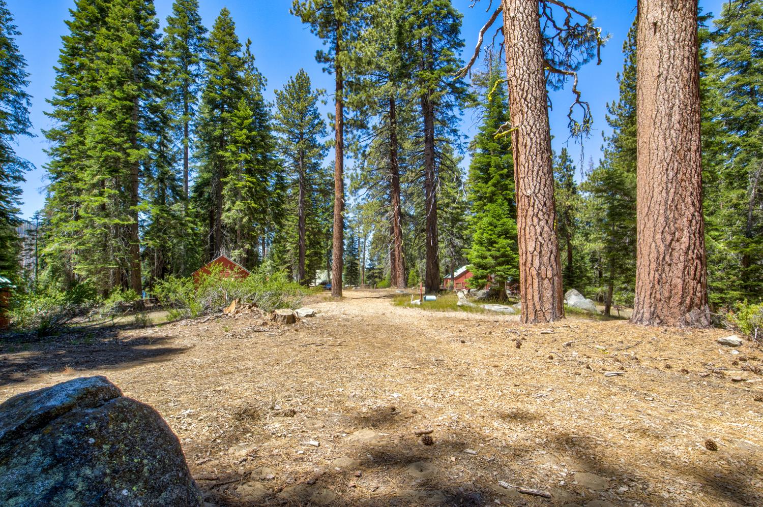 61011 Cedar Crest Ln, Lakeshore, CA 93634