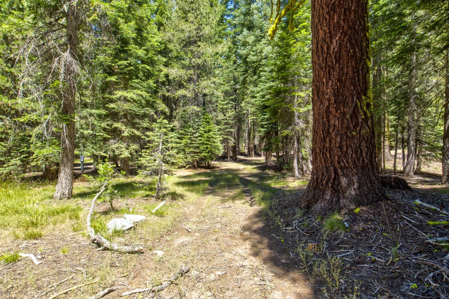 61011 Cedar Crest Ln, Lakeshore, CA 93634