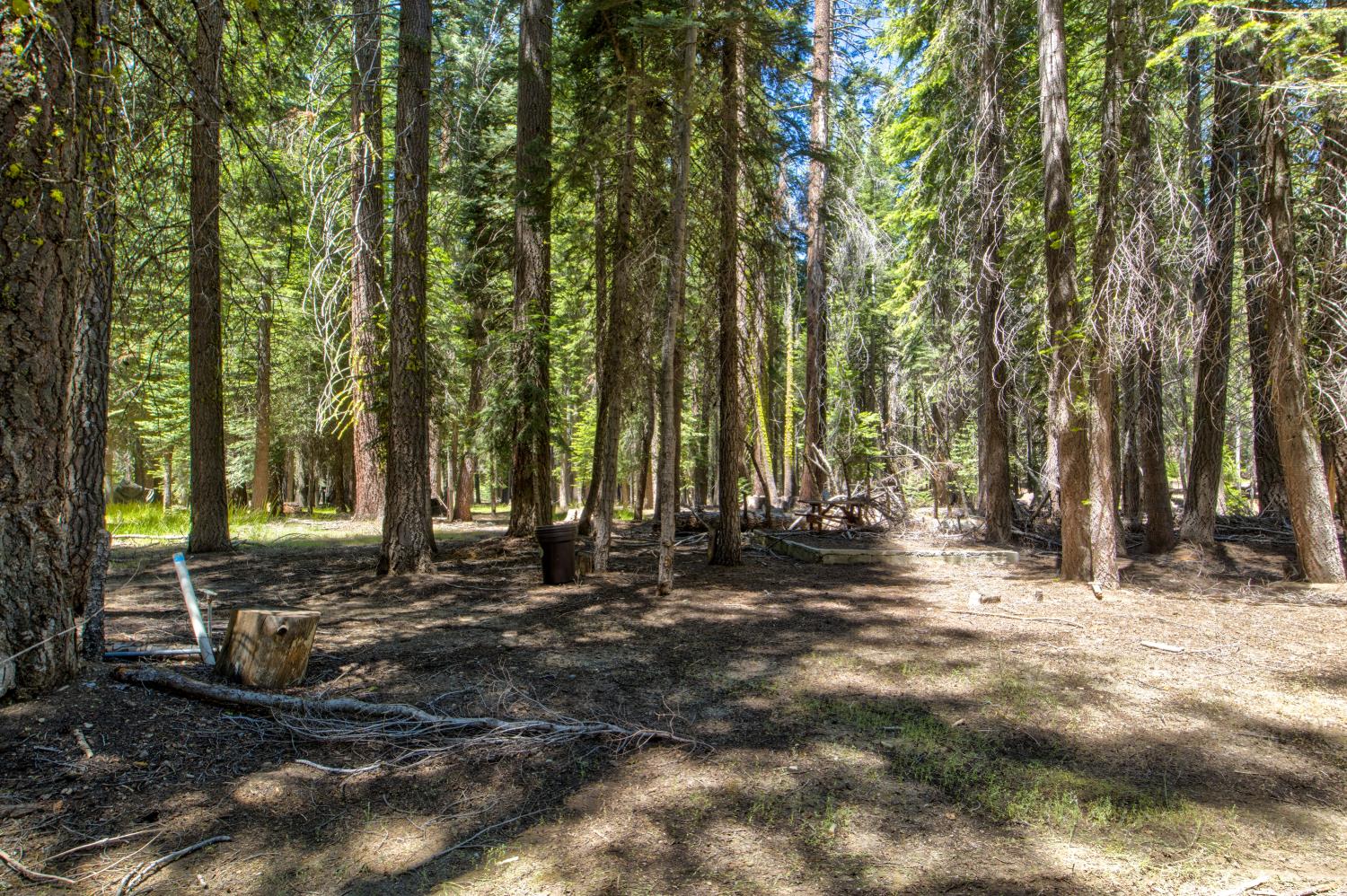 61011 Cedar Crest Ln, Lakeshore, CA 93634
