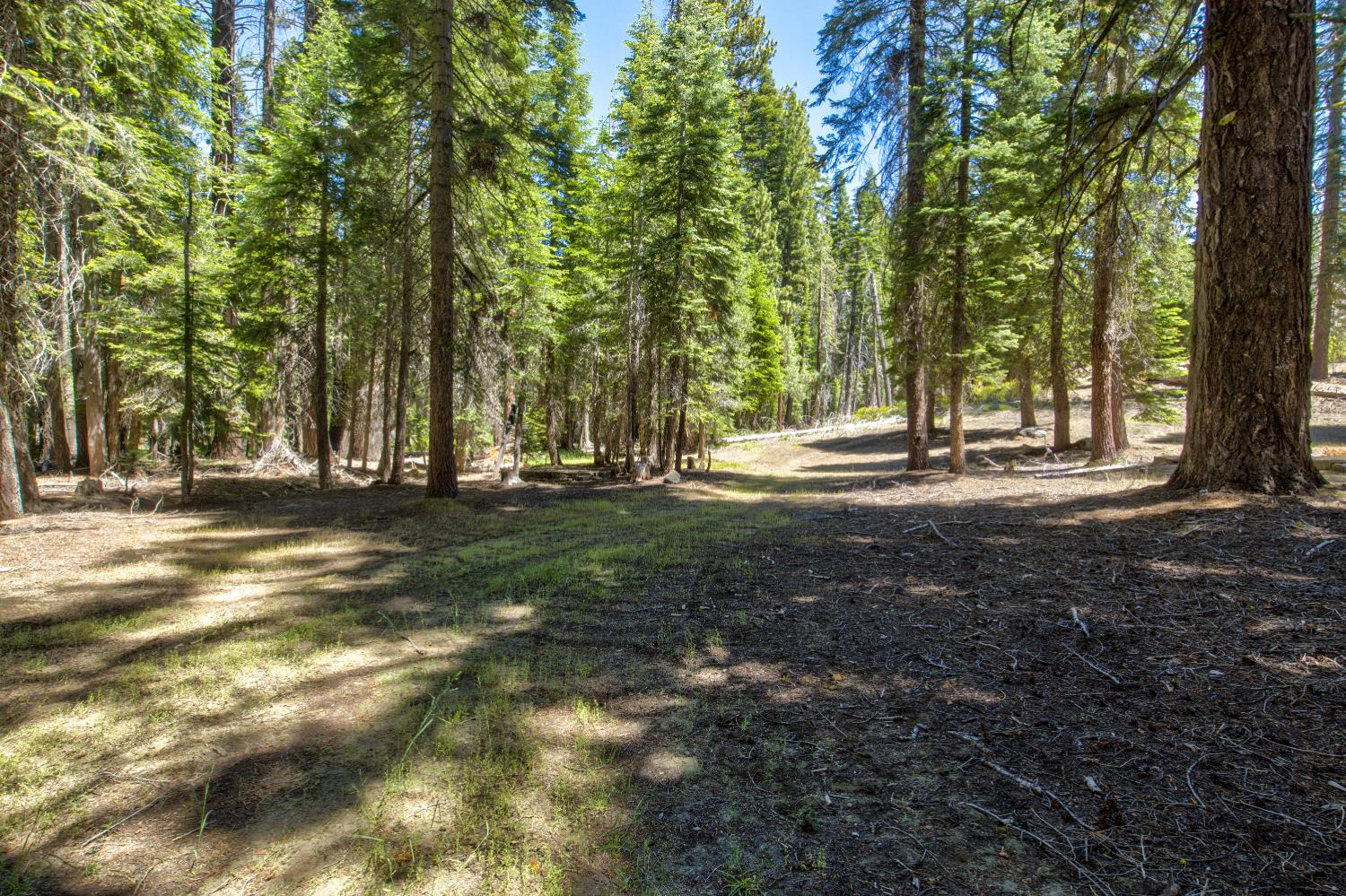 61011 Cedar Crest Ln, Lakeshore, CA 93634