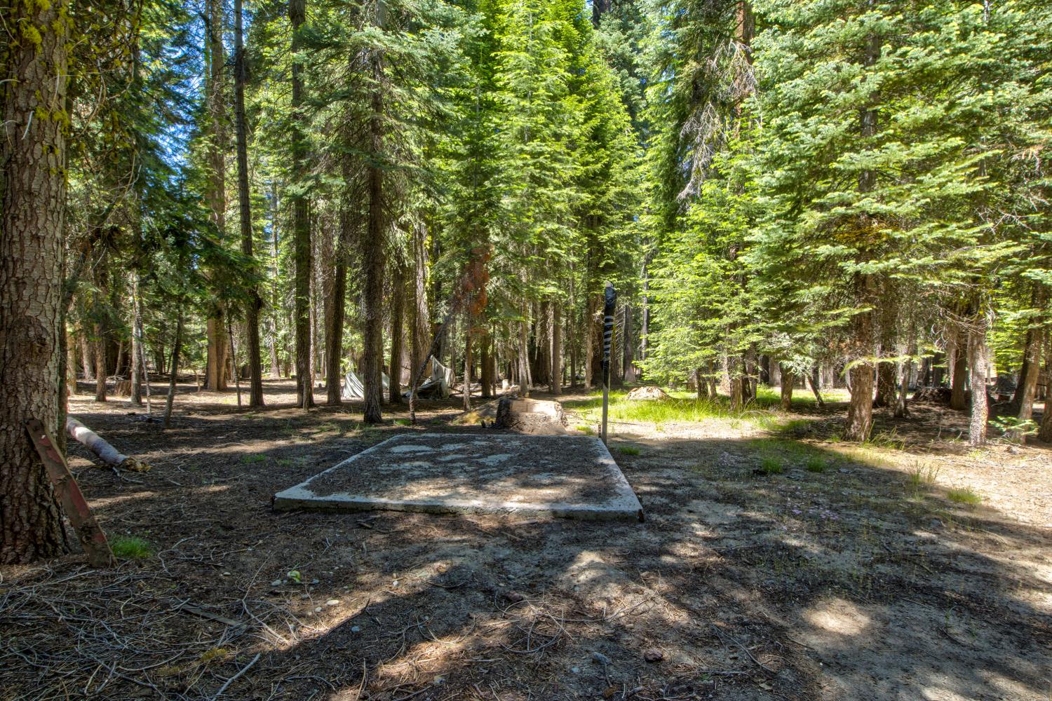 61011 Cedar Crest Ln, Lakeshore, CA 93634