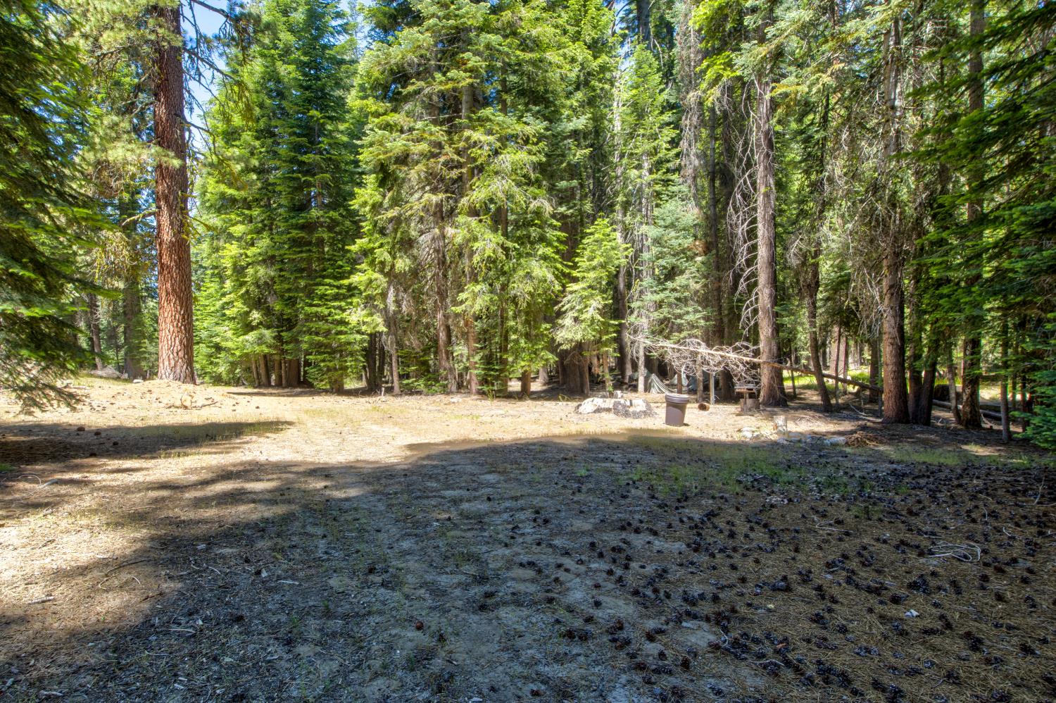 61011 Cedar Crest Ln, Lakeshore, CA 93634