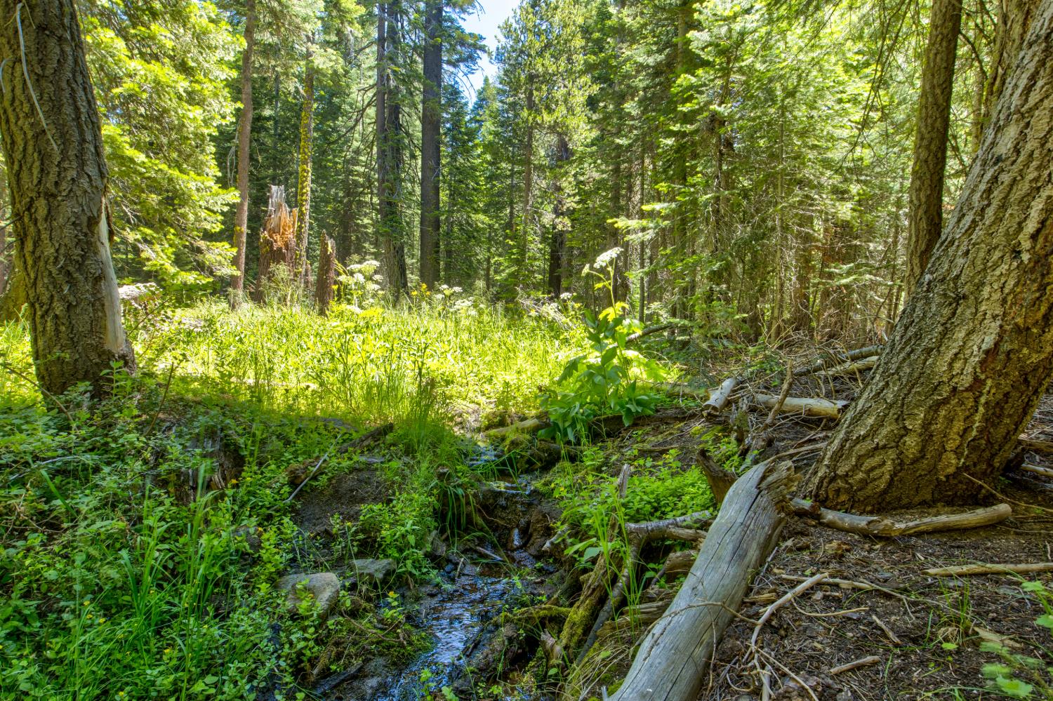 61011 Cedar Crest Ln, Lakeshore, CA 93634