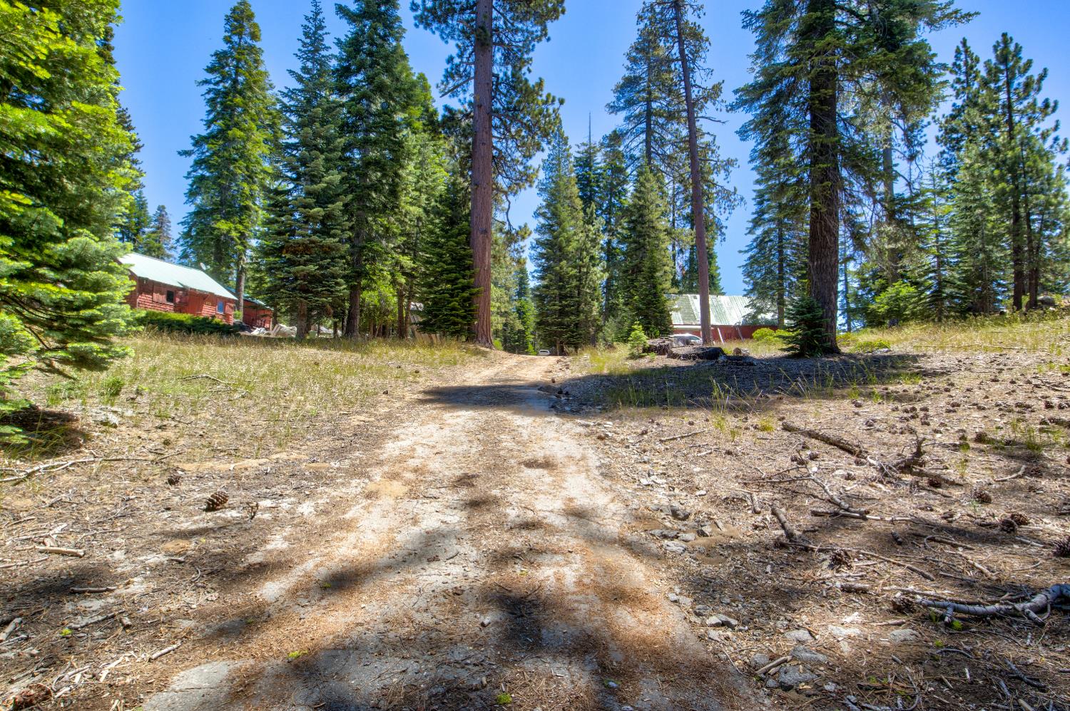 61011 Cedar Crest Ln, Lakeshore, CA 93634