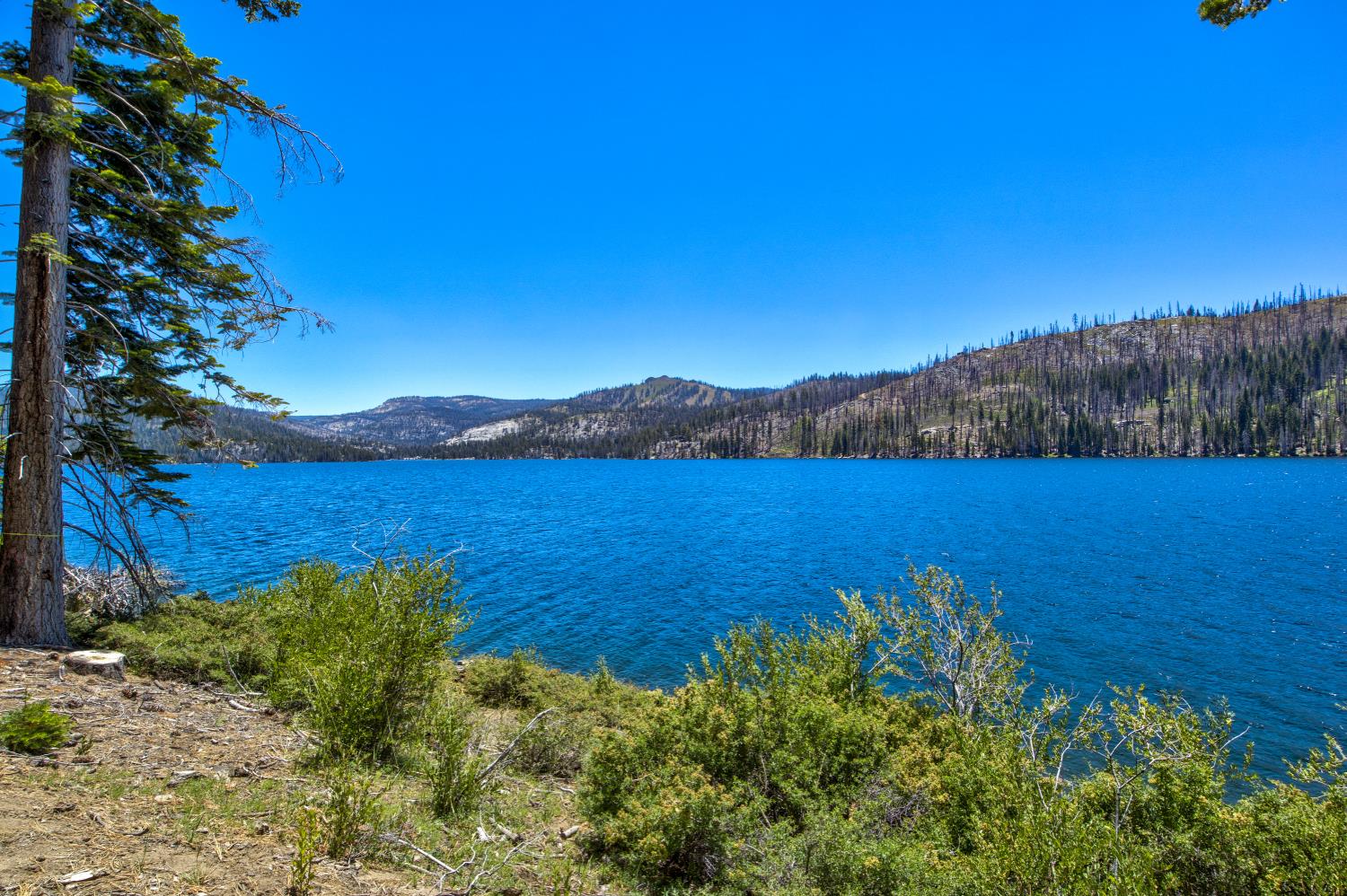 61011 Cedar Crest Ln, Lakeshore, CA 93634