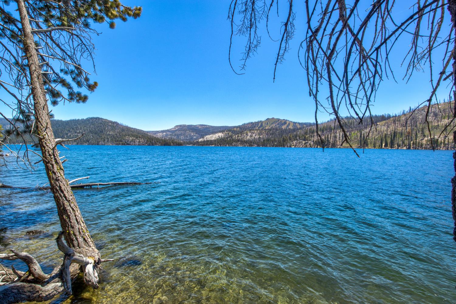 61011 Cedar Crest Ln, Lakeshore, CA 93634