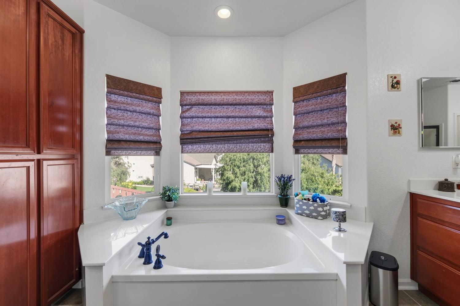 1350 Anacapri Dr, Manteca, CA 95336