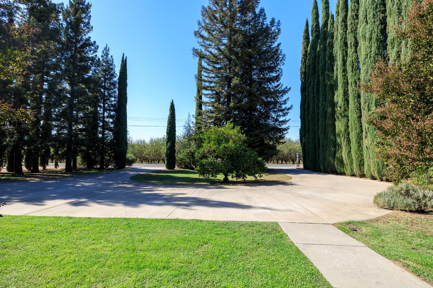 22342 Henry Rd, Escalon, CA 95320