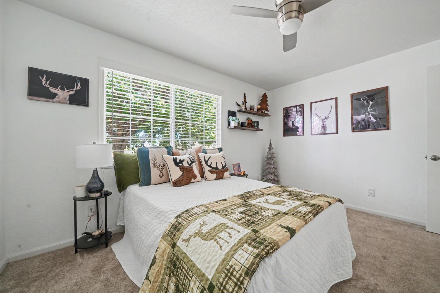 1797 Hoya Ct, Copperopolis, CA 95228