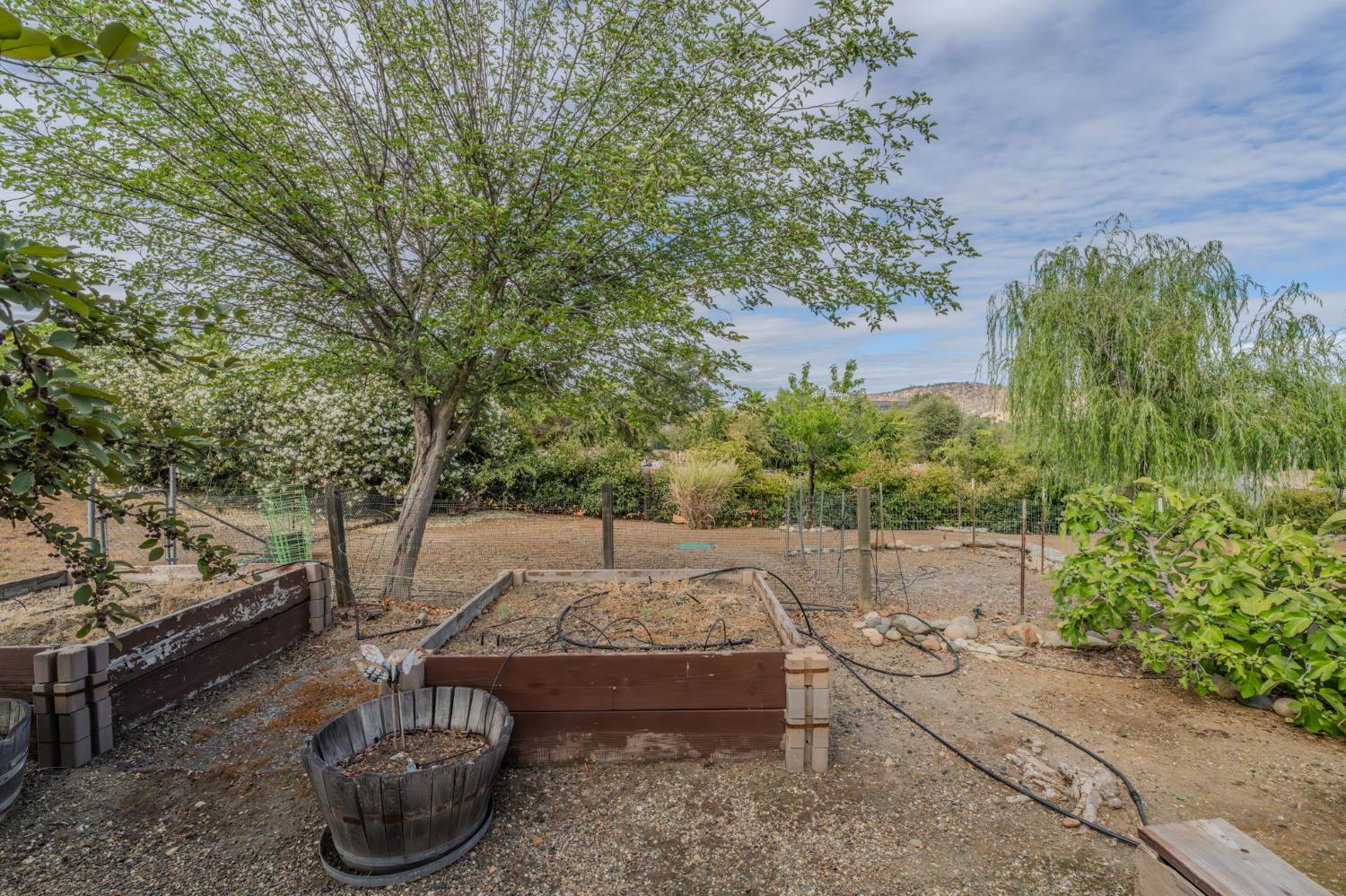 1797 Hoya Ct, Copperopolis, CA 95228