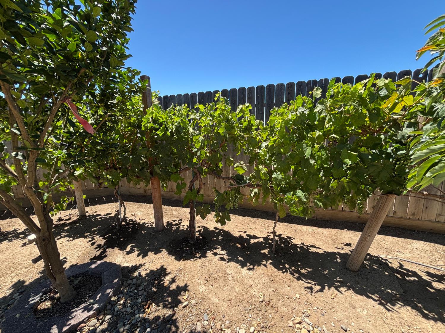 1679 Dock Ave, Los Banos, CA 93635