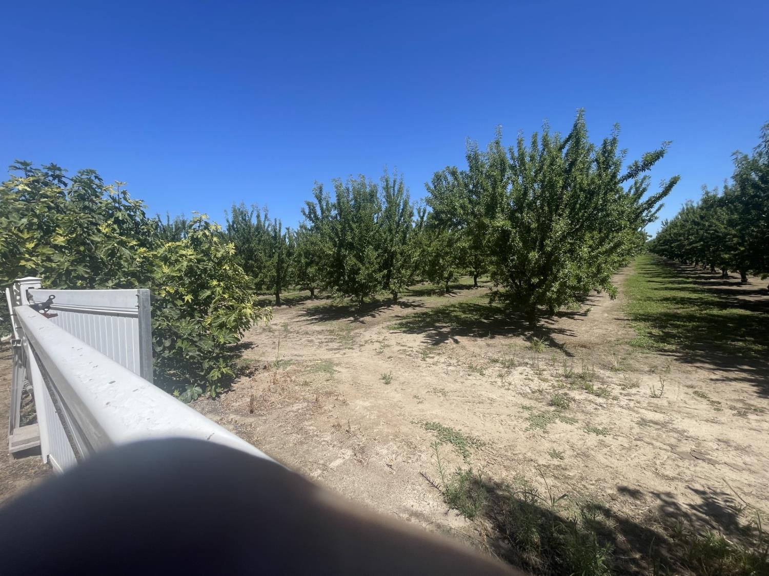 22095 State Highway 120, Escalon, CA 95320