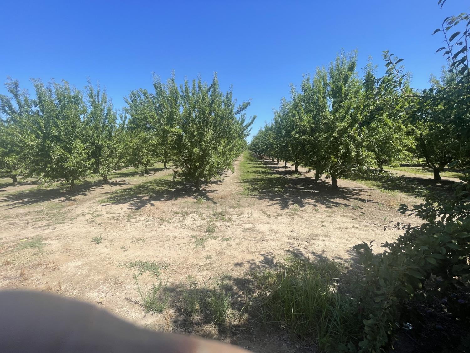 22095 State Highway 120, Escalon, CA 95320