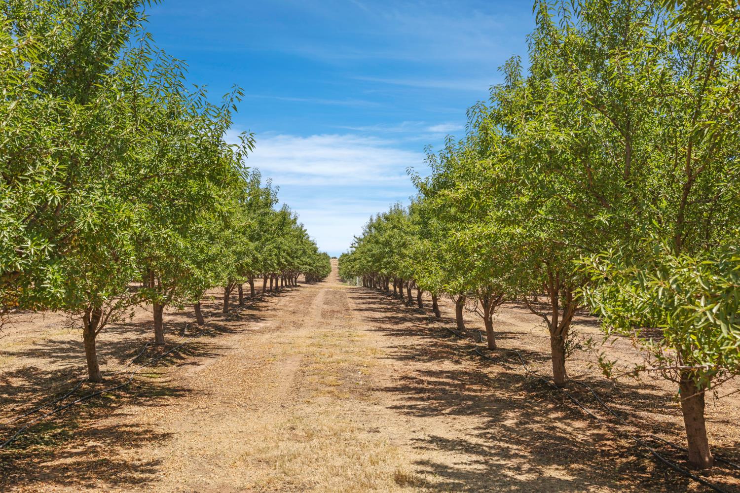 0 Morrison Rd, Oakdale, CA 95361